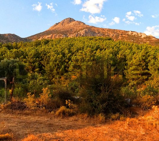 Pelineo/Pellinaio Mountain