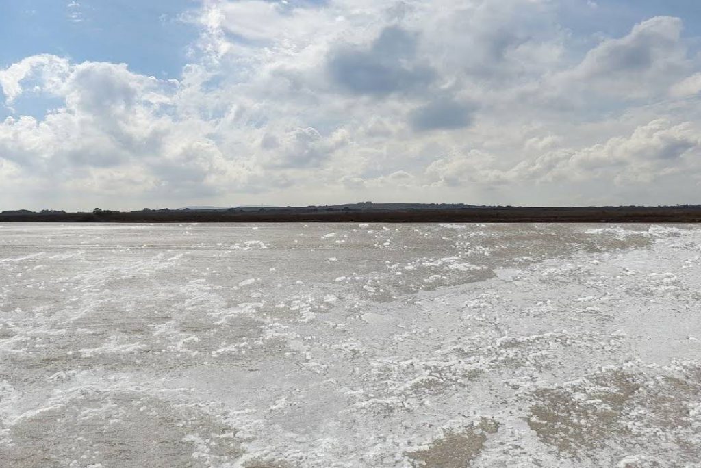 Walking on a Salt Lagoon, and Wind Sound