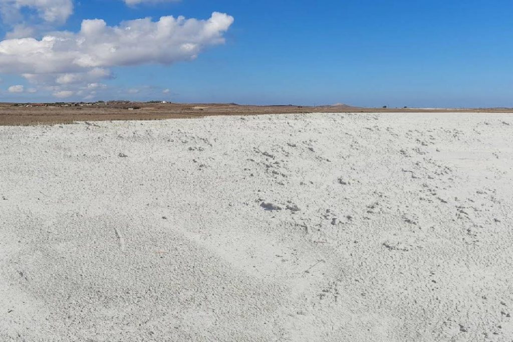 Walking on a Dry Lake (Lagoon) covered with White Pasty Soil