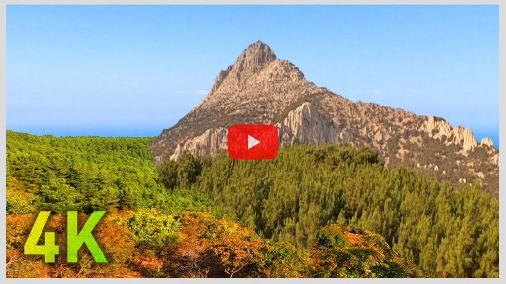 4k Sound of Mountain Goat Bell, and Wind Sound to Relax and Meditate Deeply