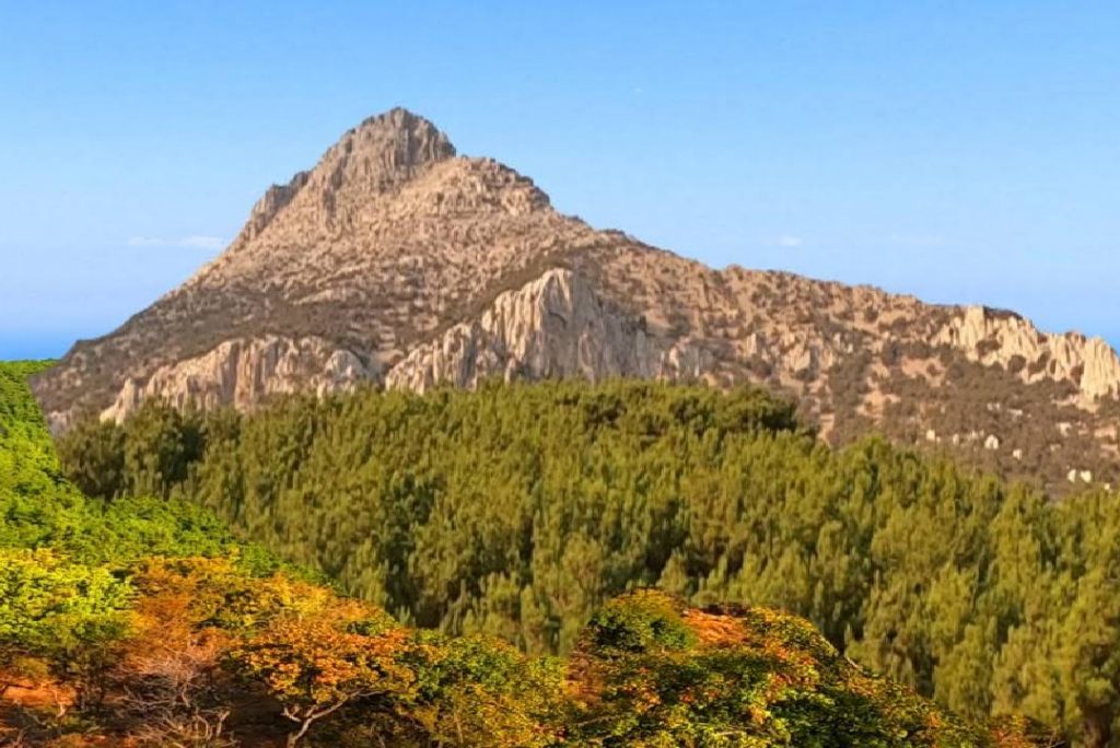 4k Sound of Mountain Goat Bell, and Wind Sound to Relax and Meditate Deeply