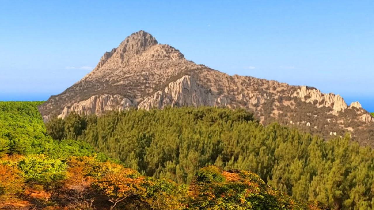 4k Sound of Mountain Goat Bell, and Wind Sound to Relax and Meditate Deeply