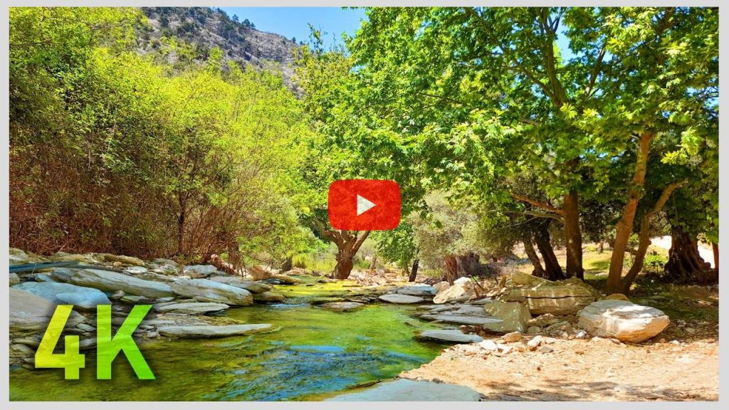 4k Gentle Sound of a Forest River and Soothing Sound of Birds to Sleep, Relax, and Meditate Deeply