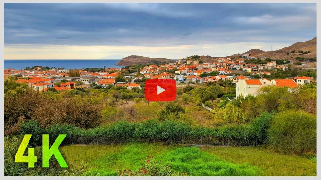 4K Relaxing Sounds of an Island's Village  / Birds, Crows, Rooster, Chicken, Sheep, Dog