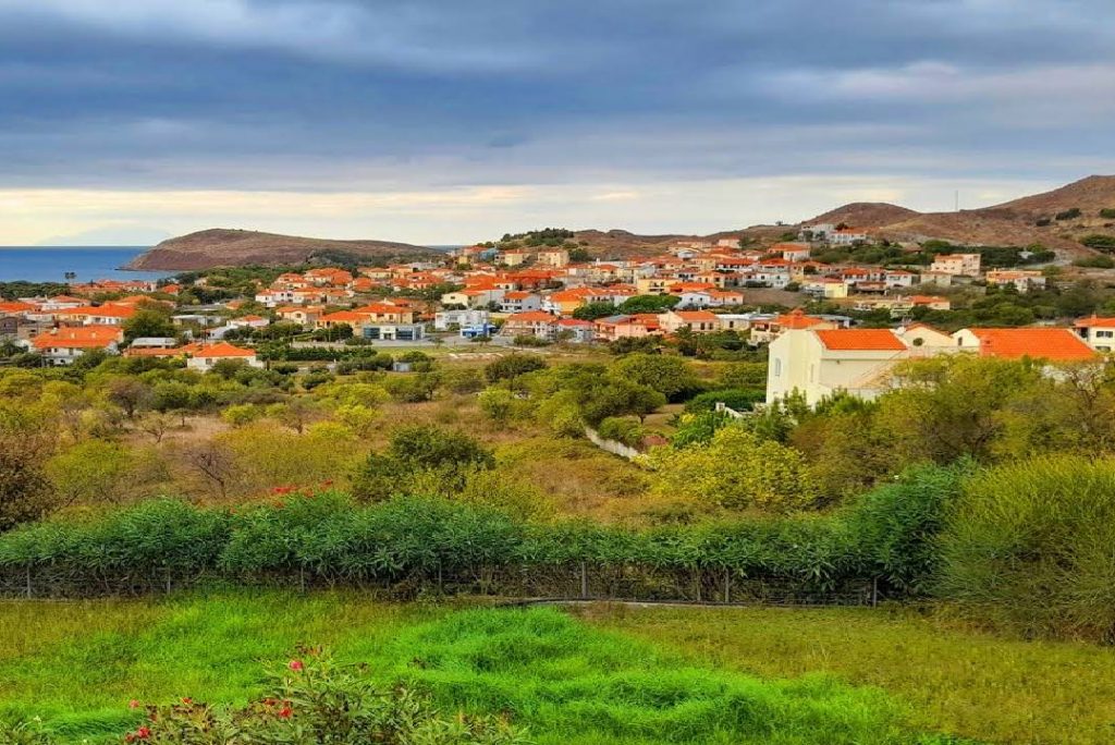 4K Relaxing Sounds of an Island’s Village  / Birds, Crows, Rooster, Chicken, Sheep, Dog