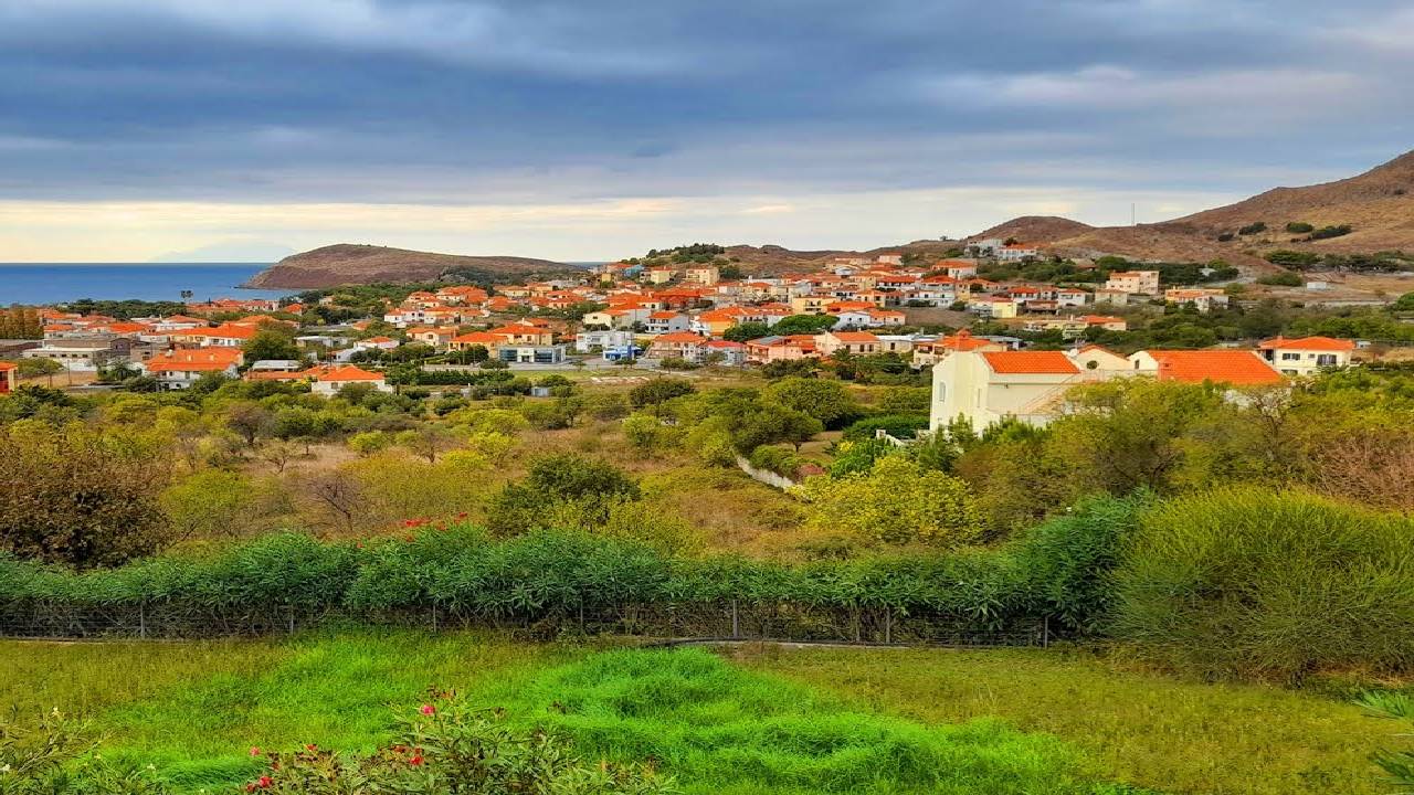 4K Relaxing Sounds of an Island’s Village  / Birds, Crows, Rooster, Chicken, Sheep, Dog