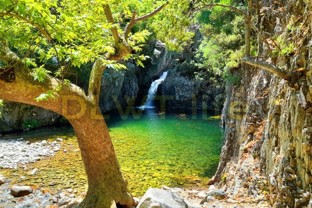 4k Calming Sound of Forest Waterfall and Soothing Sound of Birds to Sleep, Relax and Meditate Deeply