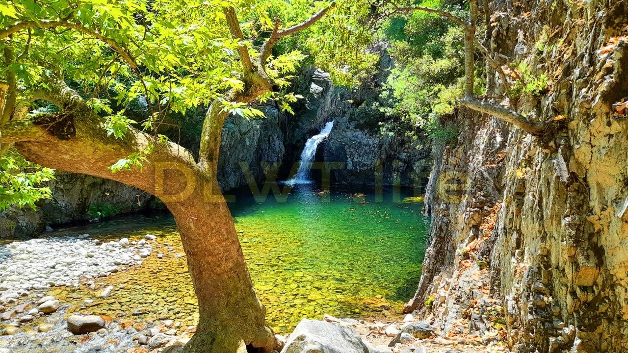 4k Calming Sound of Forest Waterfall and Soothing Sound of Birds to Sleep, Relax and Meditate Deeply