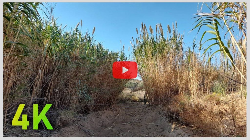 Countryside Wandering with Lulling Effect to Fall Asleep