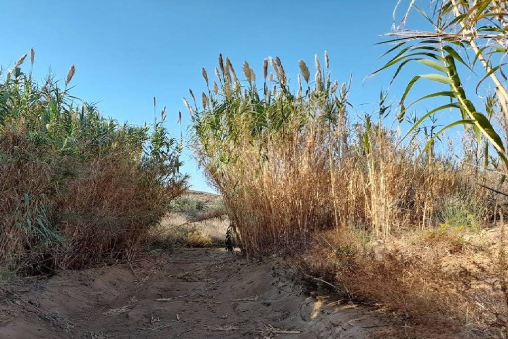 Countryside Wandering with Lulling Effect to Fall Asleep
