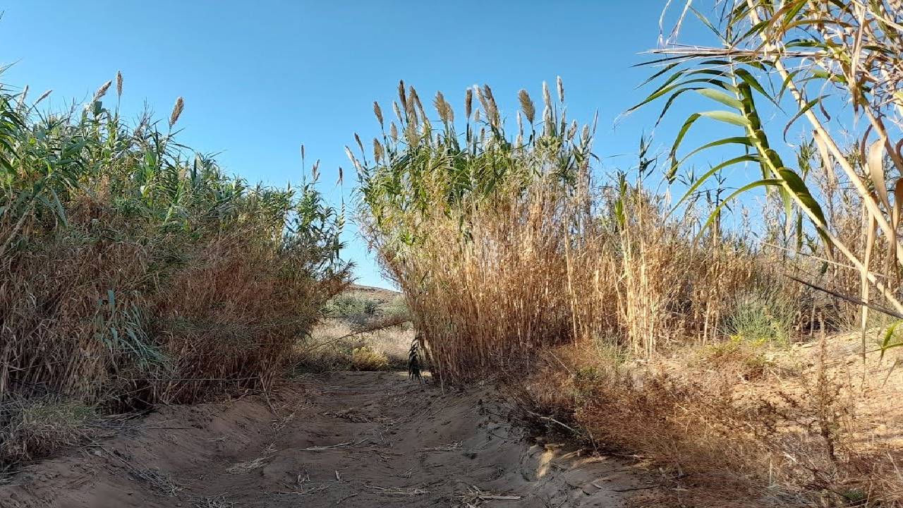 Countryside Wandering with Lulling Effect to Fall Asleep