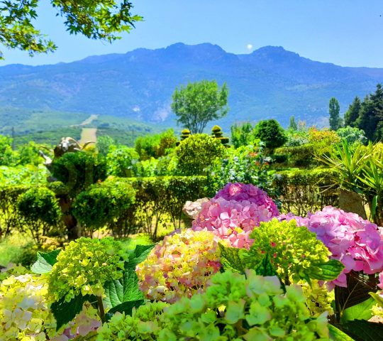 Forests and Gardens of Samothraki