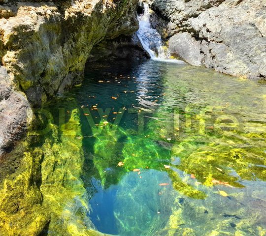 Ilk Selale Waterfall