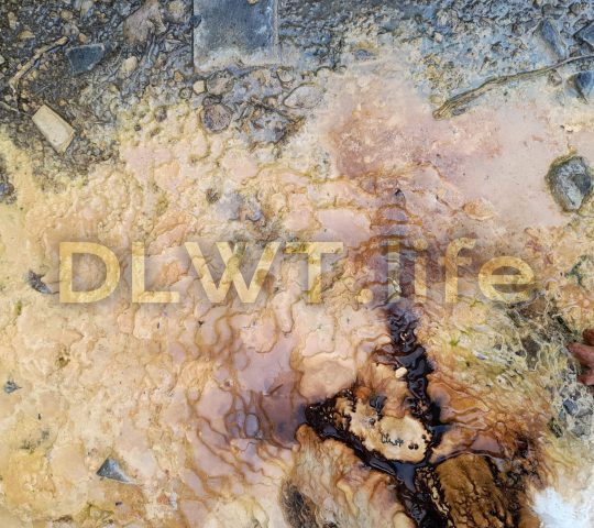 Mineral Springs of Samothrace