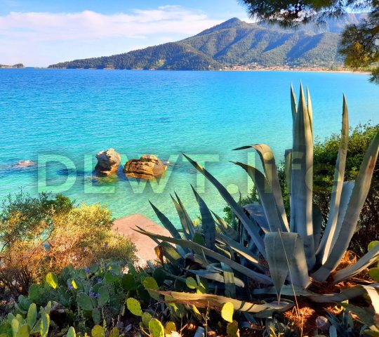 Paralia Chrisi Ammoudia