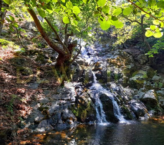 Waterfalls of Paradise Pedestals