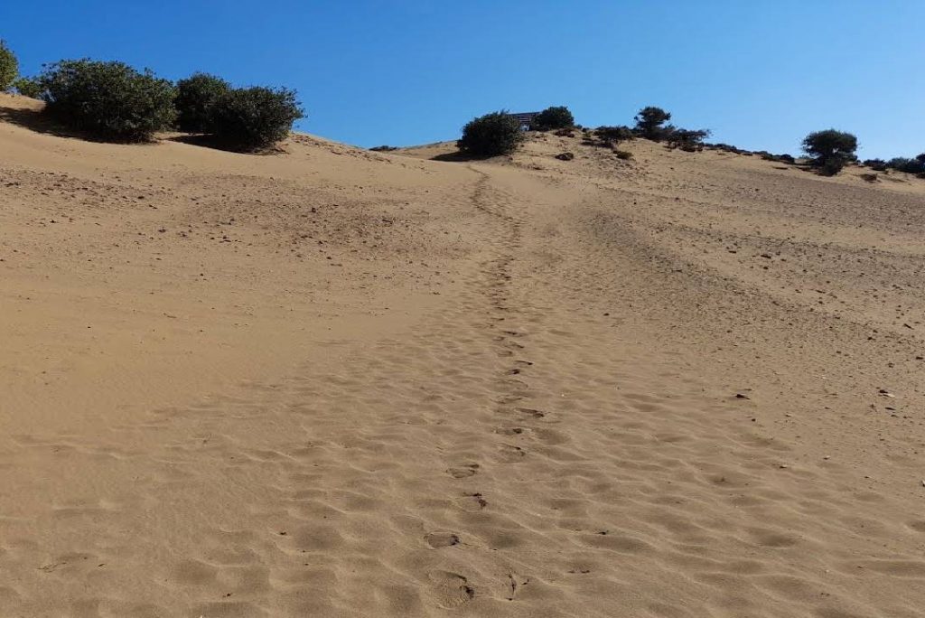 Breathtaking Hiking in Greece’s Only Desert!