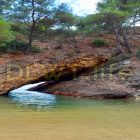 A heron is chasing fish and a hungry cat is watching… What does the hungry cat think?