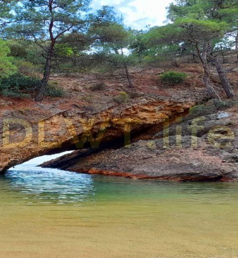 Relax, meditate, sleep deeply | birds sound, forest sounds, nature sounds | an amazing 4K landscape