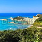 A heron is chasing fish and a hungry cat is watching… What does the hungry cat think?