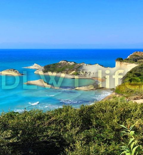 Relax, meditate, sleep deeply | birds sound, forest sounds, nature sounds | an amazing 4K landscape