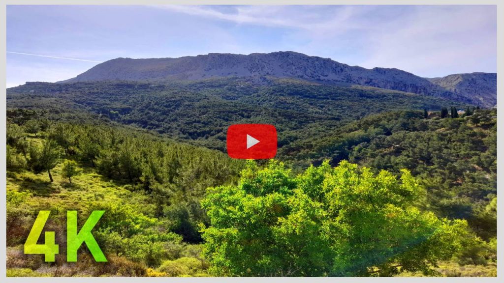 Relax, meditate and sleep deeply with the natural sounds of birds, forest, and mountains 4K Sounds-