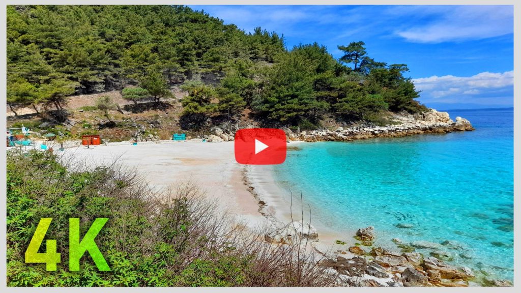 Sea Sounds with Birds Sound for Relaxation | 4K Sounds