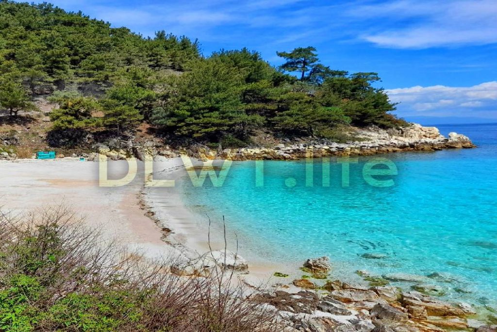 Sea Sounds with Birds Sound for Relaxation | 4K Sounds