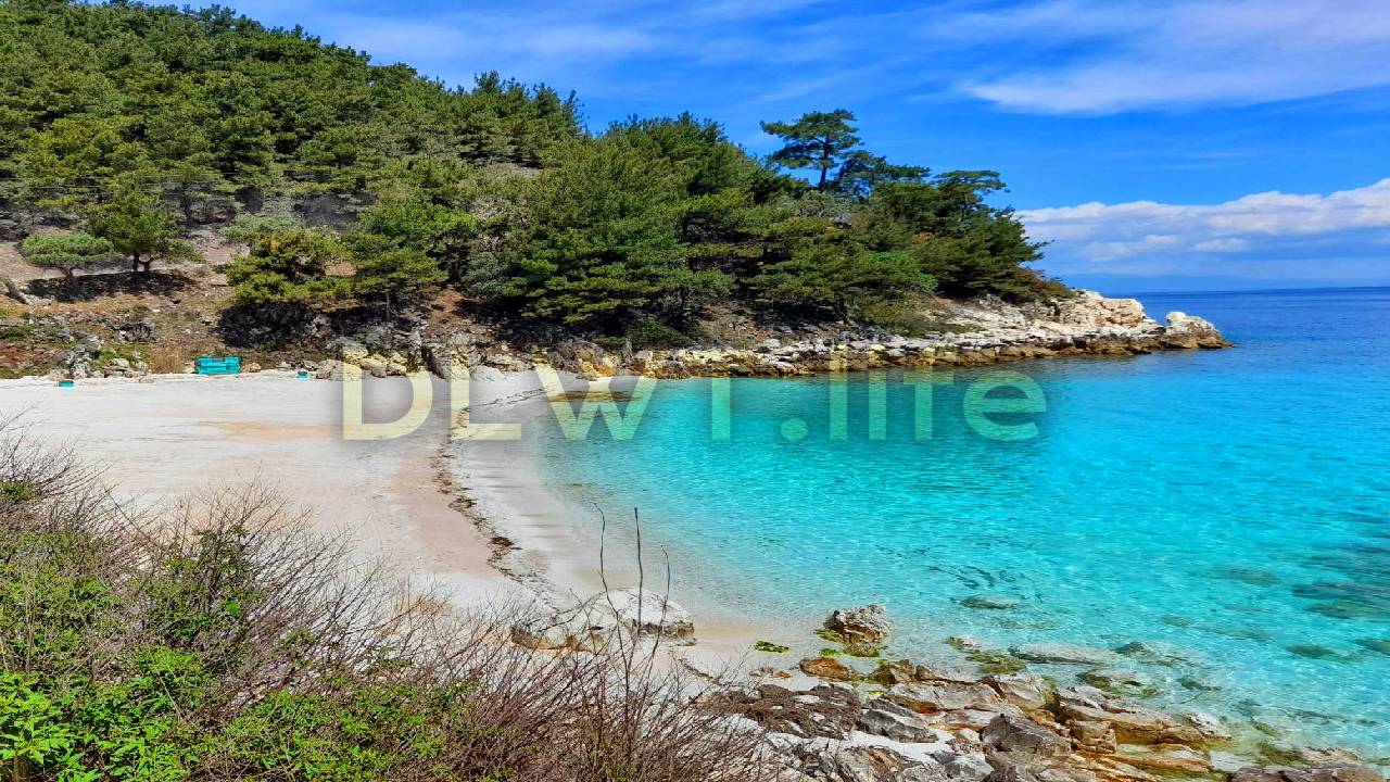 Sea Sounds with Birds Sound for Relaxation | 4K Sounds