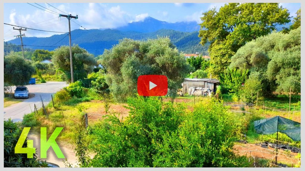 Relax, meditate, sleep deeply birds sound, forest sounds, nature sounds an amazing 4K landscape