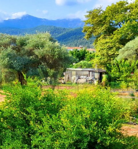 Boating from Cape Drastis Scenic of Corfu and by its sea caves to Sidari village | 4k landscape