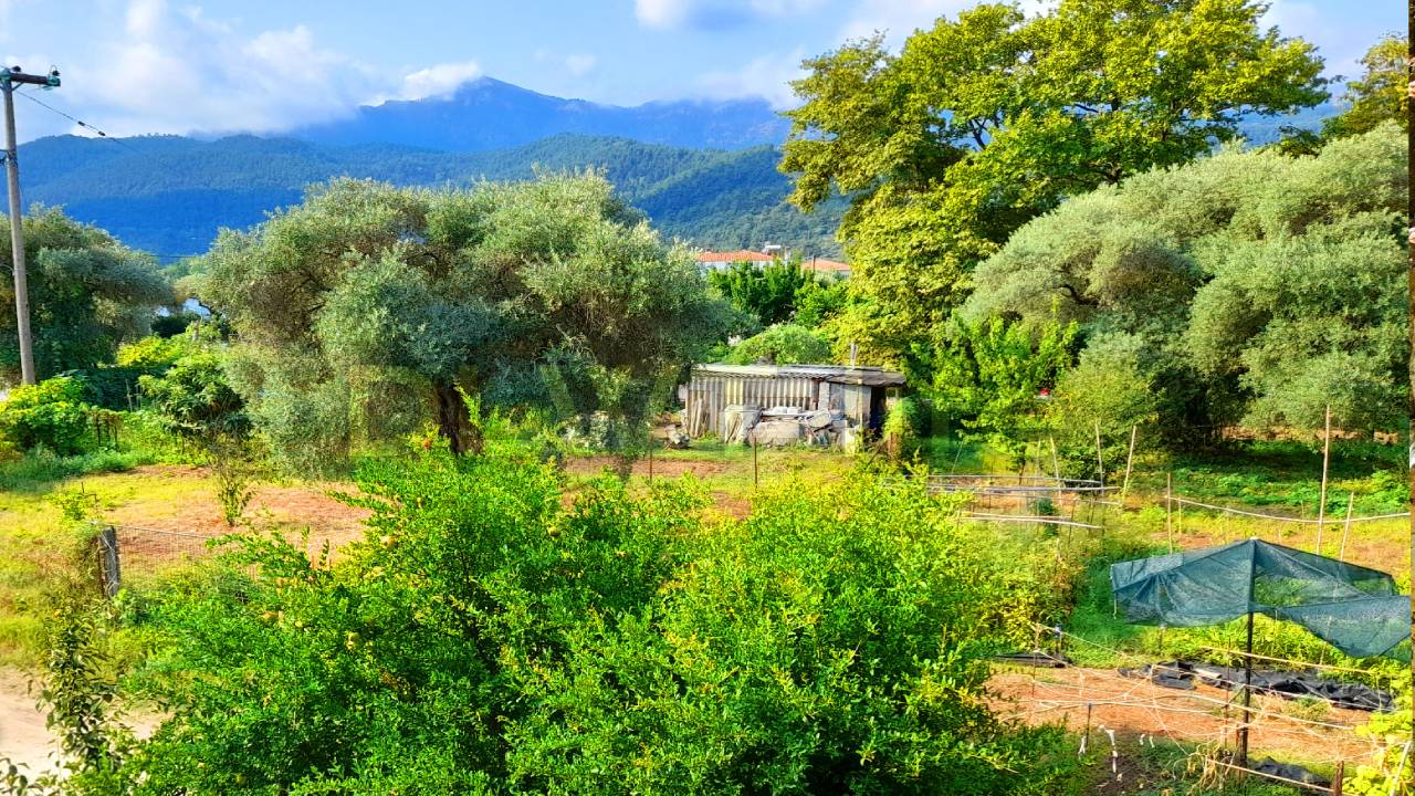 Relax, meditate, sleep deeply | birds sound, forest sounds, nature sounds | an amazing 4K landscape